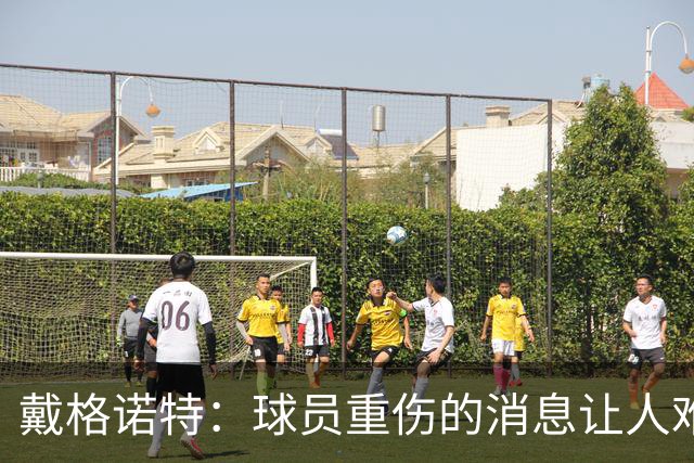 戴格诺特：球员重伤的消息让人难以接受 大家带着使命感在打球