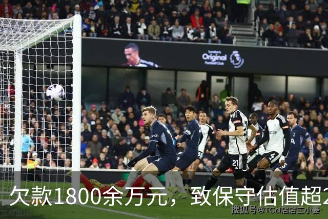 欠款1800余万元，致保守估值超2.5亿元的295套房产被查封3年