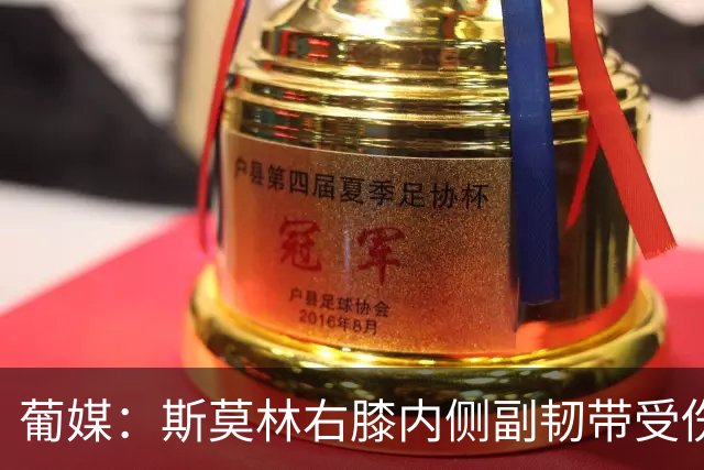 葡媒：斯莫林右膝内侧副韧带受伤，将缺席波尔图数场比赛