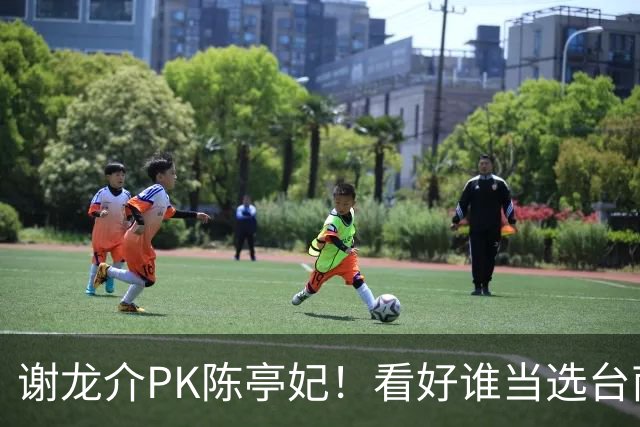 谢龙介PK陈亭妃！看好谁当选台南市长？网络投票结果超意外